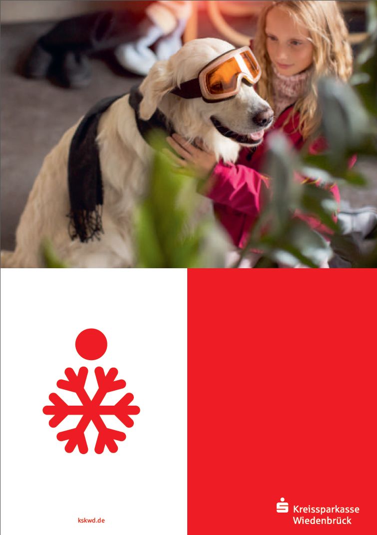 Kreissparkasse Halle-Wiedenbrück – Hauptsponsor